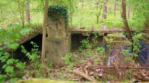 Gebäudereste im Wald