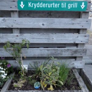 Ein Küchefreundlicher Hafen: An jedem Grillplatz gibt es frische Kräuter und es gibt hier viele Grillplätze...