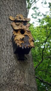 Im Wald höngen sehr kuriose Nistkästen an den Bäumen