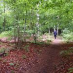 Im Kurpark