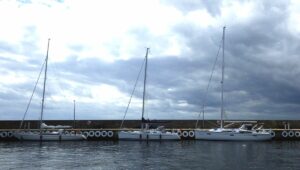 Lorrikeet im Hafen von Hanö. Die dunkle Wolke bringt bald Regen