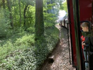 Vor Bad Doberan geht es noch einmal durch den Wald bevor Molli in der Stadt zur Straßenbahn wird