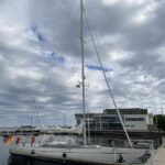 Lorrikeet so gut wie allein in Karlskrona