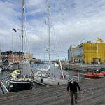 Lorrikeet sicher in Kalmar