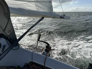 Lorrikeet im Surf vor Mönsklint