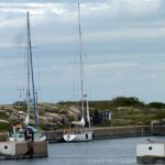Lorrikeet im Schutzhafen von Utklippan