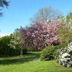 Garten vor Burgschloss Kalmar