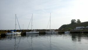 Lorrikeet im Hafen von Kåseberga 