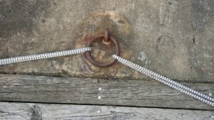 Unsere beiden Springs am selben Ring auf der Pier belegt