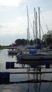 Die Dame ist etwas zu groß für diesen Hafen - Lorrikeets Hinterteil ragt aus der Reihe heraus