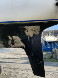 Reichlich Bewuchs mit Röhrenwürmern