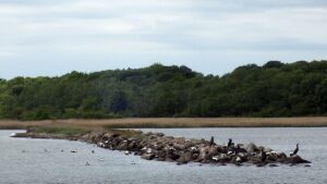 Eine Ruine sagt die Seekarte zu dieser etwas unmotiviert in das Wasser ragenden Mole. Den Eiderenten und Kormoranen ist das egal.