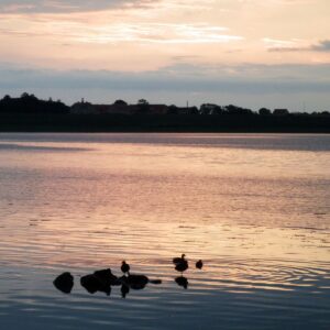 Abendstimmung am Roskilde Fjord