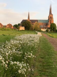 Netter Fußweg zum Dom