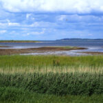 Blick vom Vogel Beobachtungsturm Gyldensteen Strand