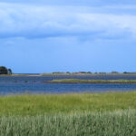 Blick vom Vogel Beobachtungsturm Gyldensteen Strand